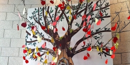 Whats App Image 2026 04 02 at 00 11 04