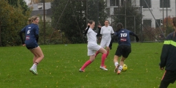 Tdo T 10 aktualisiert