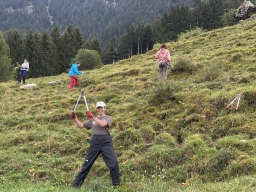 IMG 0294