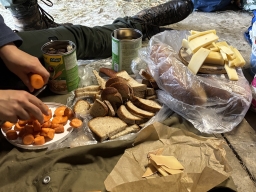 IMG 0308